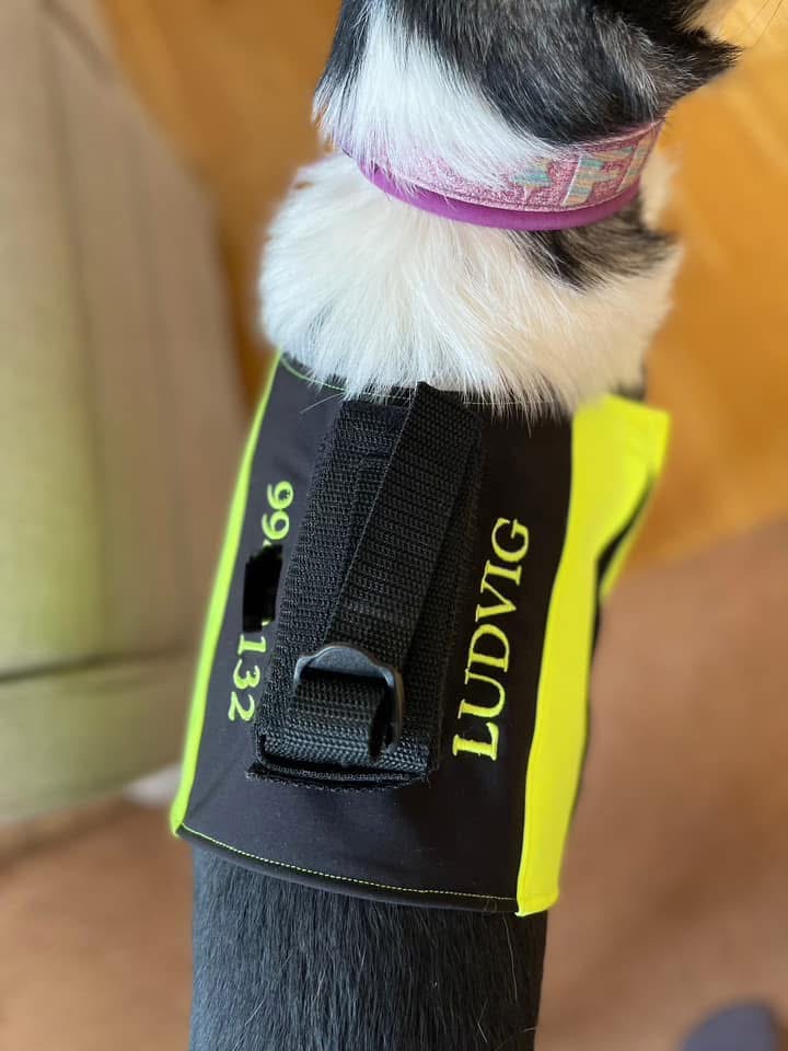 Navn og tlfnr på ryggen 