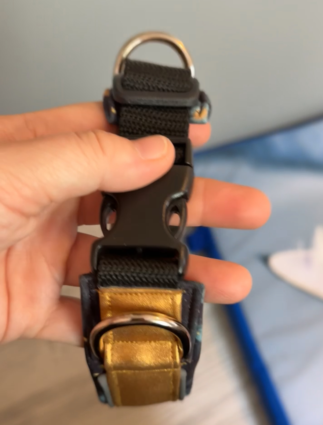 Halsbånd med ring på hver side for bringkobbel