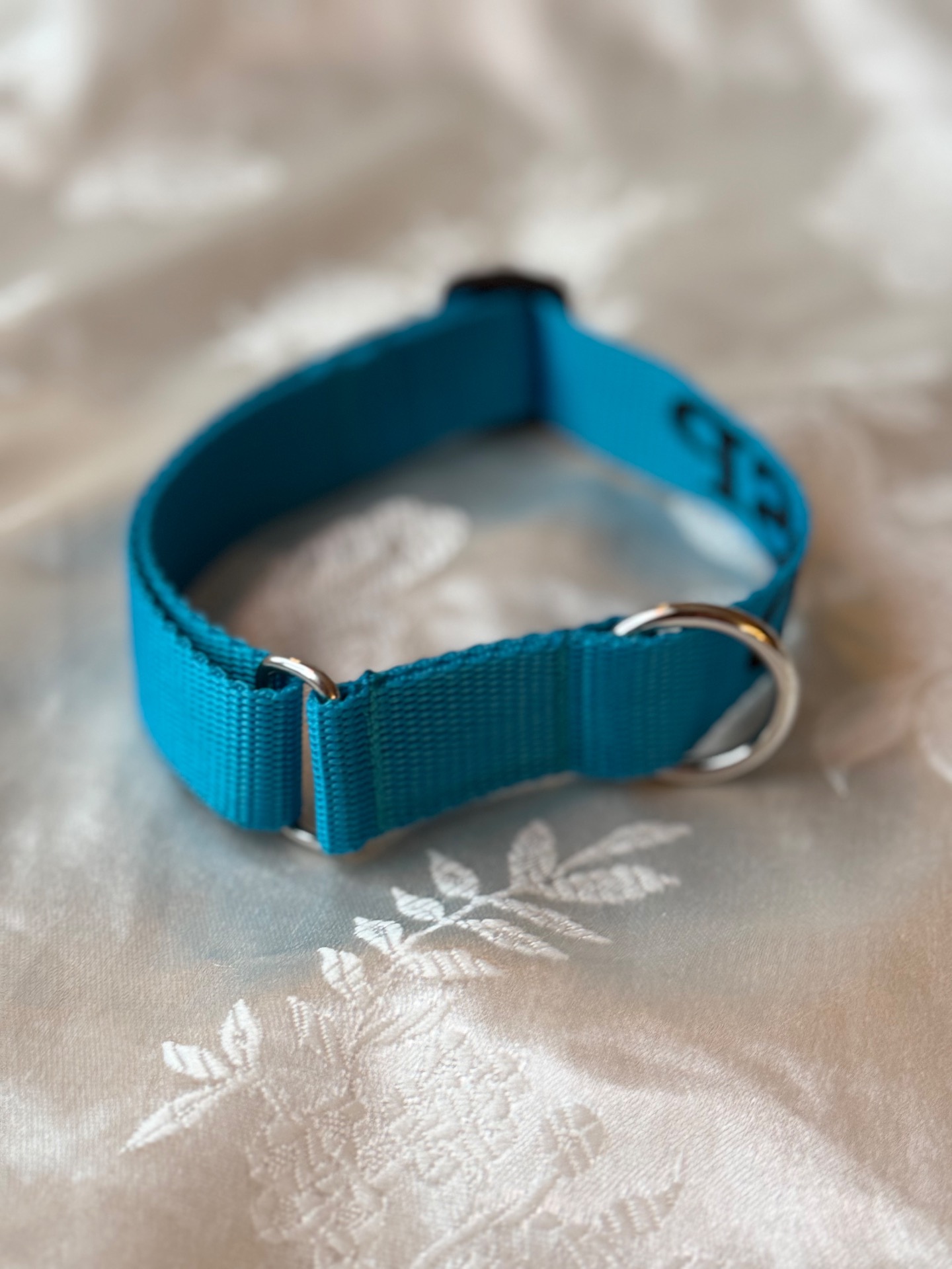 «Hundekjørerhalsbånd» uten padding