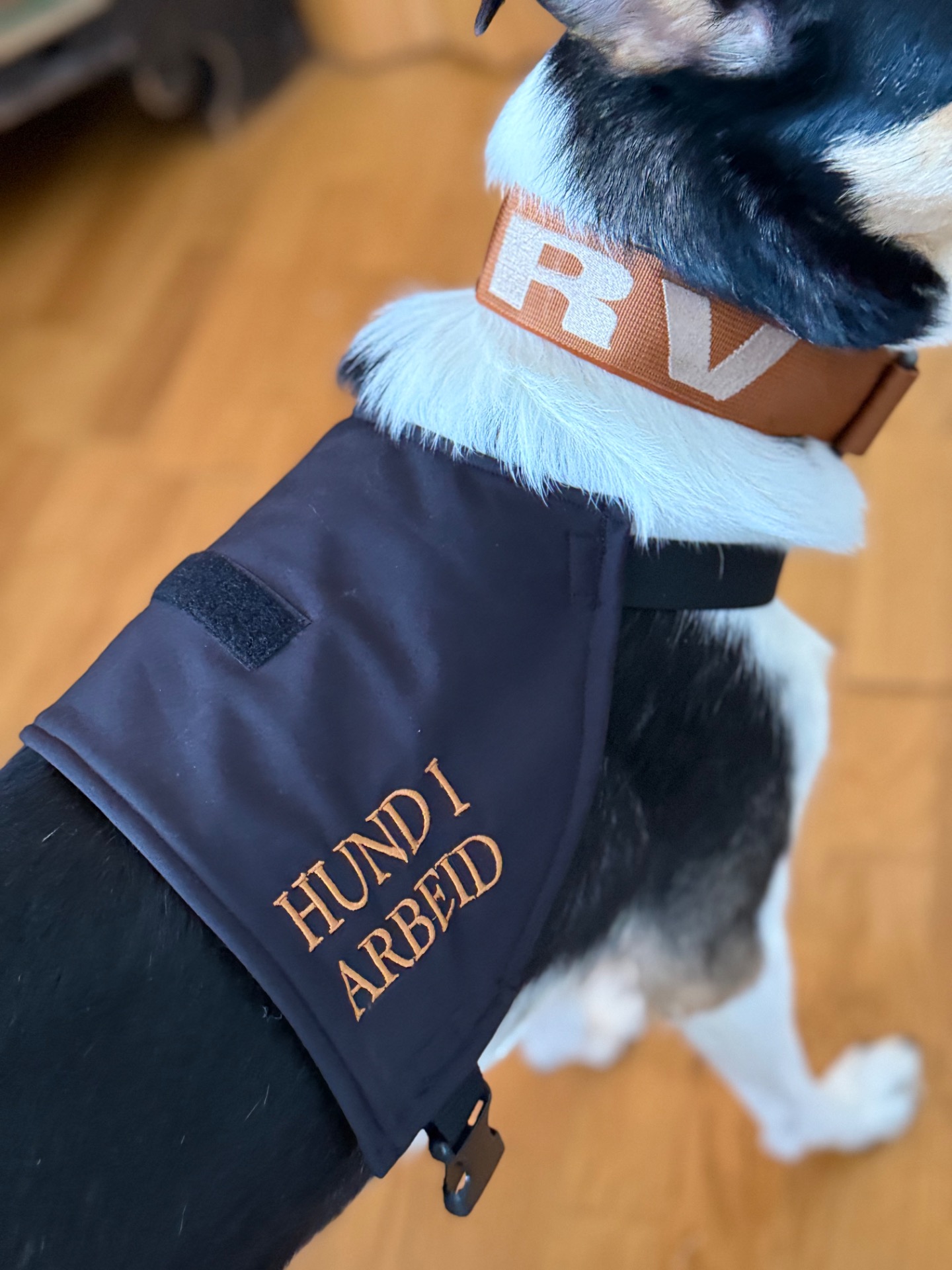 Plass til patch på ryggen